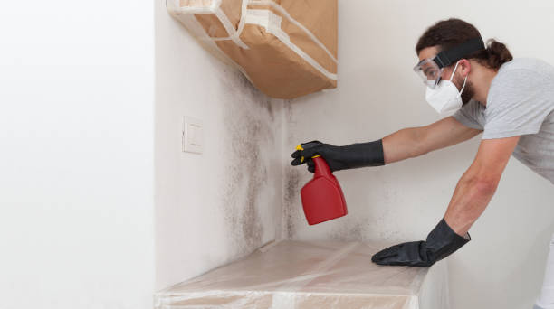 Professional Mold Remediation technician working in Little Falls, NY